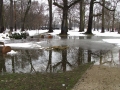Poplavljen park