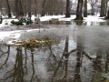 Poplavljen park