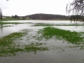 Poplavljen travnik v Žerovincih, 24. november