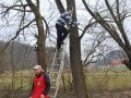 Postavljanje gnezdilnic