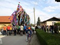 Postavljanje majoša v Gančanih