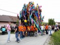 Postavljanje majoša v Gančanih