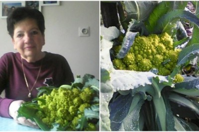 Marija Fras in njen romanesco