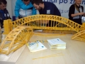 Pravi poklic za razvoj