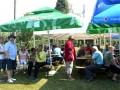 Praznik Traminca in dvig klopotca