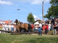 Praznik žetve na Polenšaku