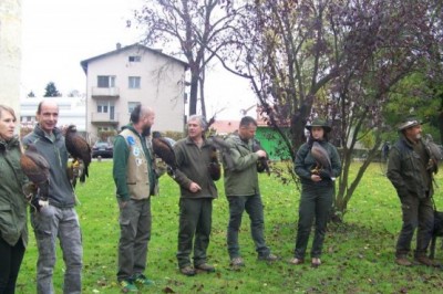 Predstavitev sokolarstva v Beltincih