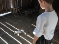 Premiera filma Mateja Kolmanka- MAČJI PASTIR