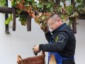 Prleška brotva