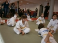 Prleška judo liga za najmlajše 2013