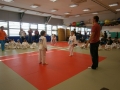 Prleška judo liga za najmlajše 2013