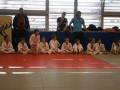 Prleška judo liga za najmlajše 2013