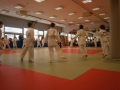 Prleška judo liga za najmlajše 2013