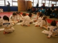 Prleška judo liga za najmlajše 2013