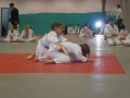 Prleška judo liga za najmlajše