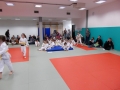 Prleška judo liga za najmlajše