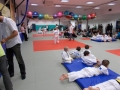 Prleška judo liga za najmlajše