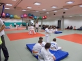 Prleška judo liga za najmlajše