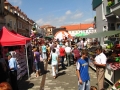 Prleški sejem 2010