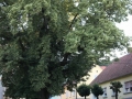 Proslava ob dnevu državnosti