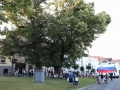 Proslava ob dnevu državnosti