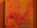 Prvi del romana »Božja sodba«