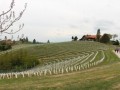 Prvomajski pohod na Jeruzalem in Svetinje