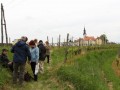 Prvomajski pohod na Jeruzalem in Svetinje