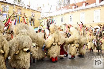 Ptujska povorka