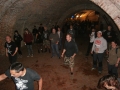 Punk v Unterhundu
