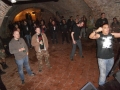 Punk v Unterhundu