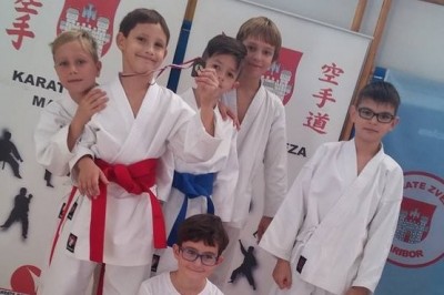 Osnovnošolska liga v karateju