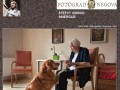 Razstava fotografij Štefi P. Borko Sinergije