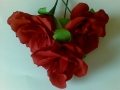 rdeče vrtnice