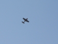 Red Bull Air Race trening