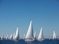 Regata Interpol Coppers Cup