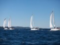 Regata Interpol Coppers Cup