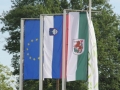 Regijske igre specialne olimpijade