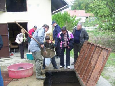 Prodaja krapov za velikonočne praznike