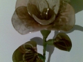 roža iz najlona