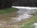 Ščavnica v Ljutomeru