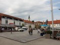 Sejem cvet in med ter bolšji sejem
