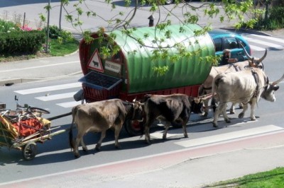 Madžarski voz v Ljutomeru