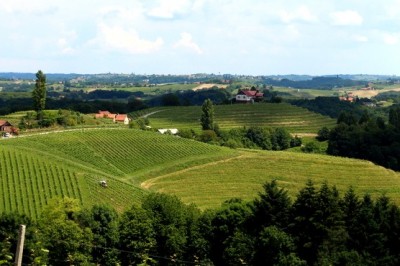 Tudi Prlekija je zelena