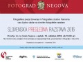 Slovenska pregledna razstava 2016