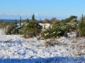 Sneg na istrskem polotoku