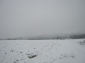 Sneg v Kostanjevici
