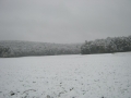 Sneg v Kostanjevici