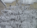 Sneg v Ljutomeru