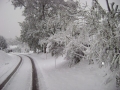 Sneg v Mekotnjaku